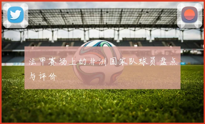 法甲赛场上的非洲国家队球员盘点与评价