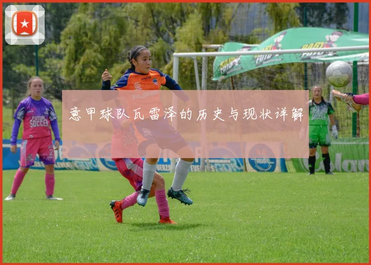 意甲球队瓦雷泽的历史与现状详解