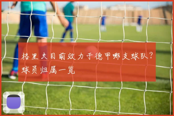 格里夫目前效力于德甲哪支球队？球员归属一览