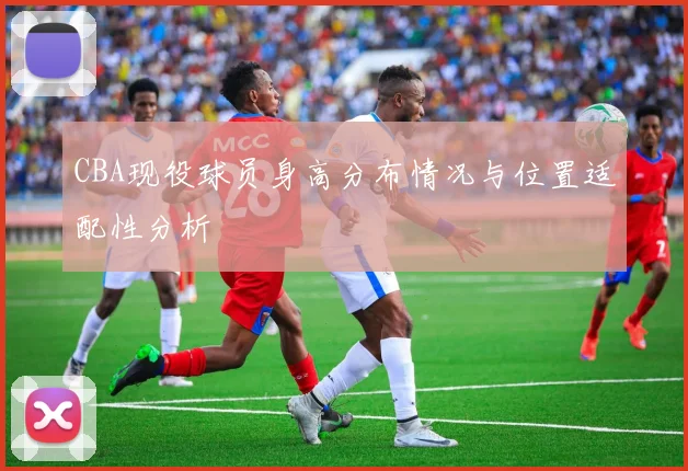 CBA现役球员身高分布情况与位置适配性分析