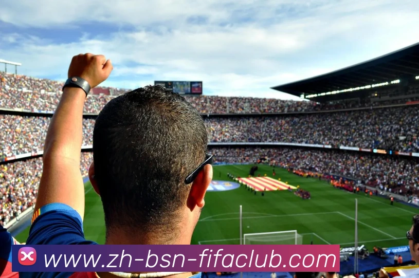 世界杯买球发展历程