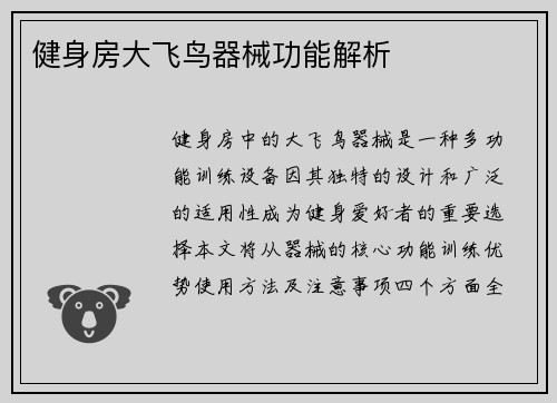 健身房大飞鸟器械功能解析